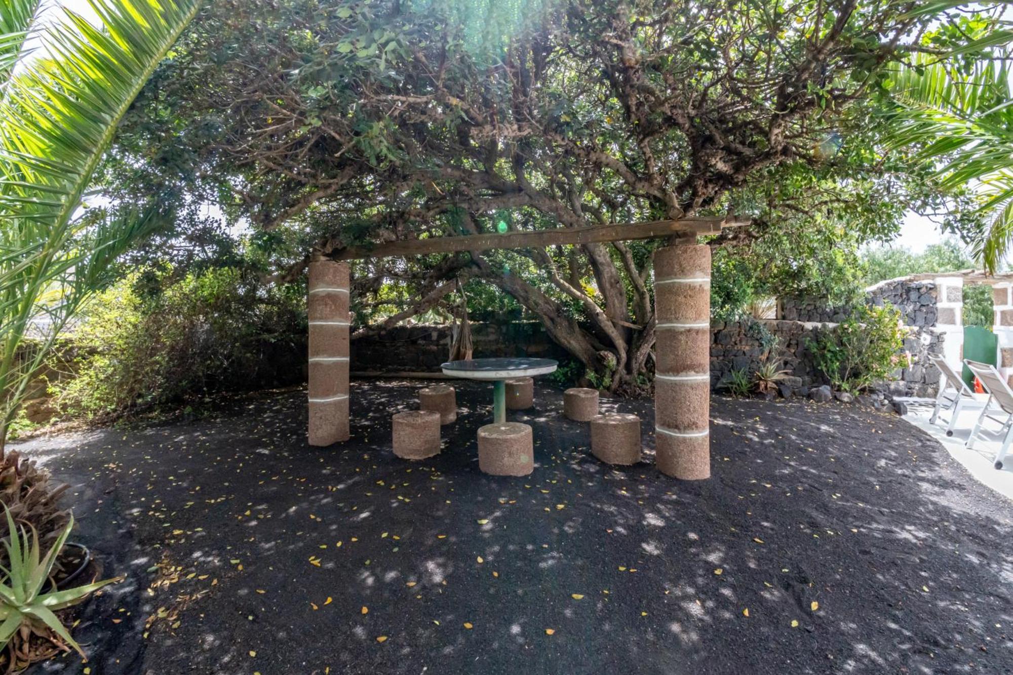 Villa Casa Timanfaya In Tegoyo à Conil Extérieur photo