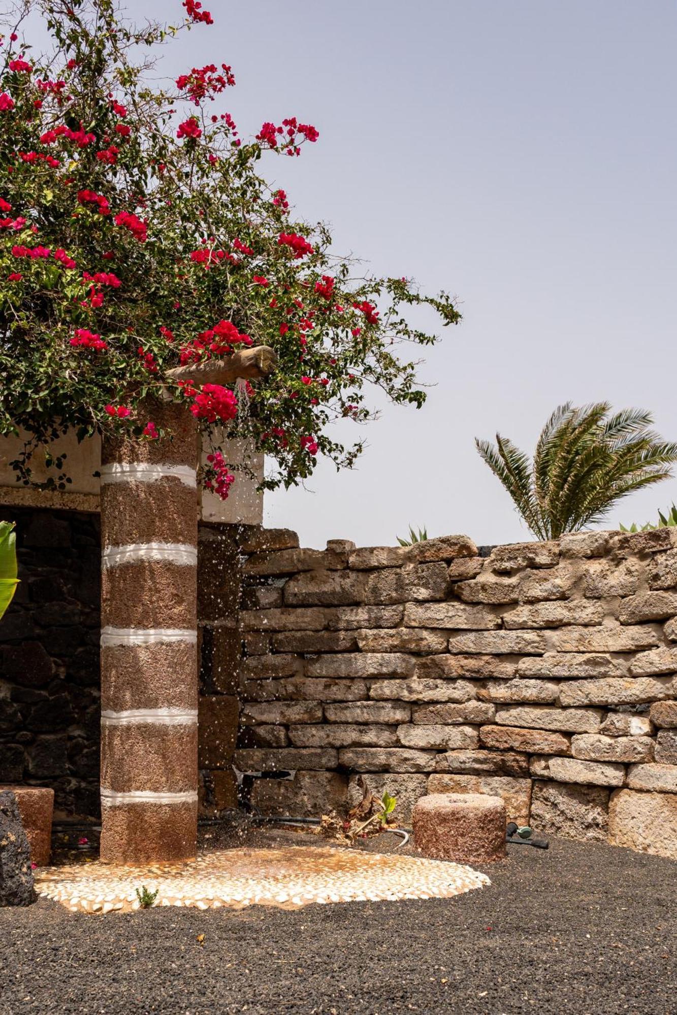 Villa Casa Timanfaya In Tegoyo à Conil Extérieur photo