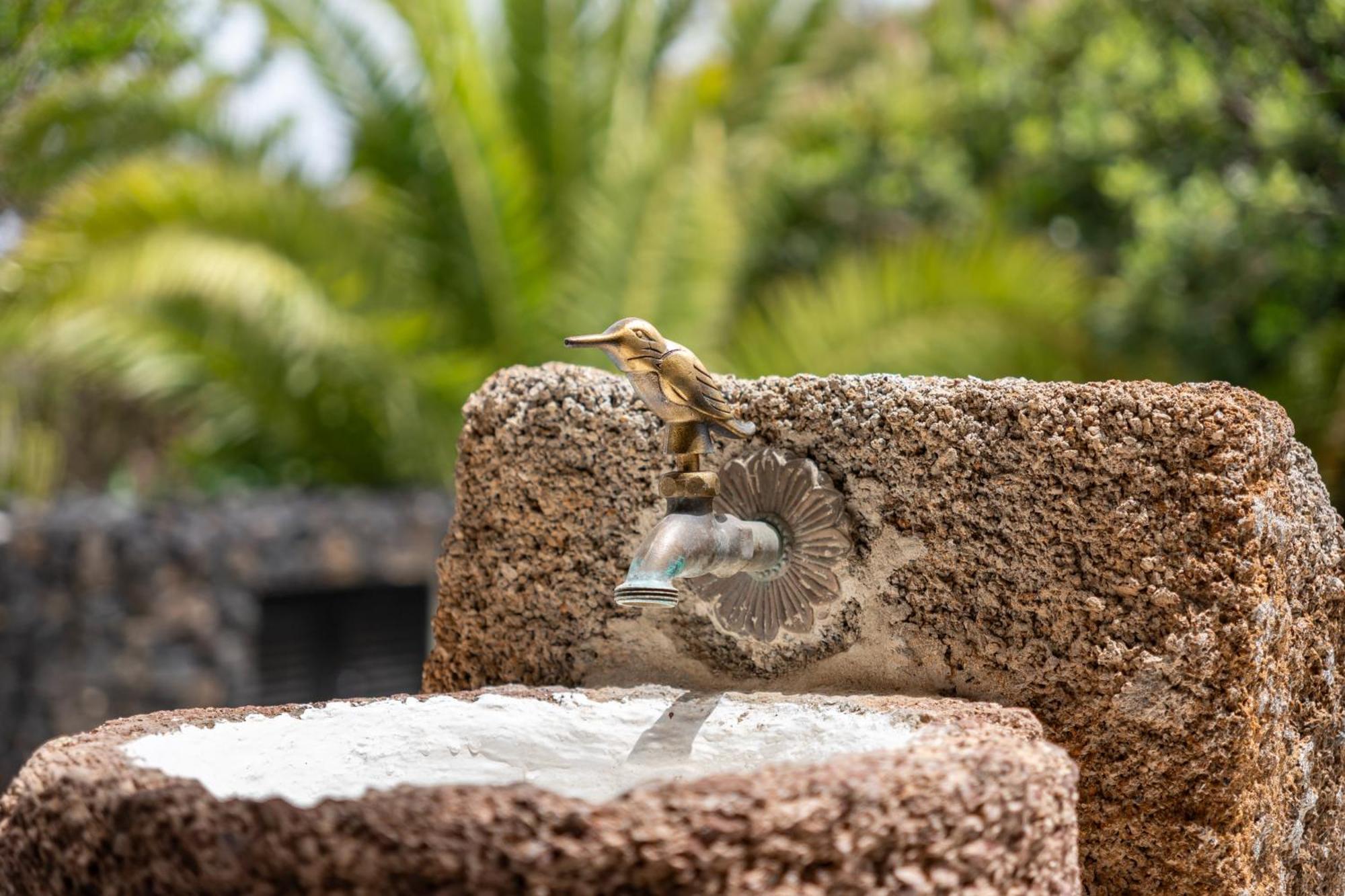Villa Casa Timanfaya In Tegoyo à Conil Extérieur photo